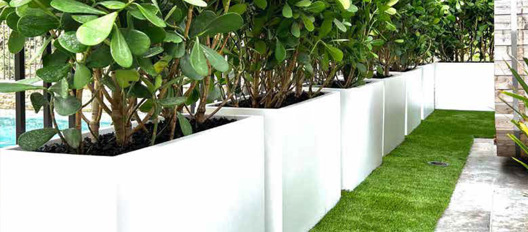 Planters