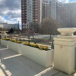 Fiberglass planters on terrace