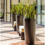 Euro Tall Round Cylinder Planters