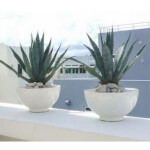 Marseille Low Planter Bowl