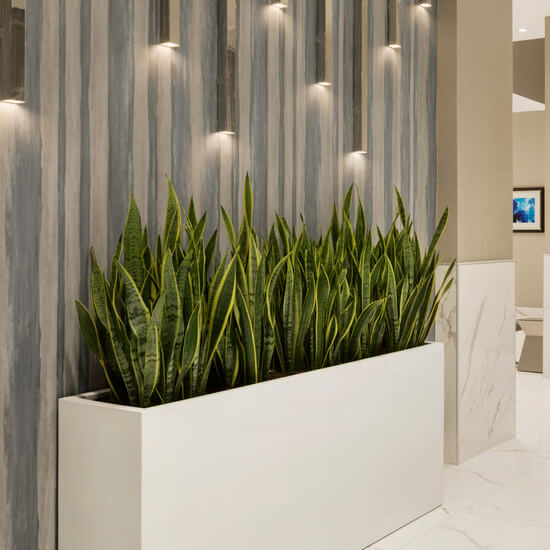 Indoor long planter
