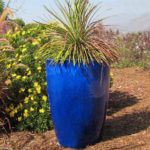 Oversize Blue planters