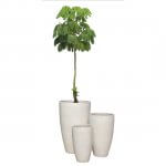 Extra Tall white Planters