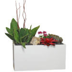 Tolga Planters