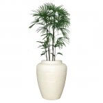 White Waffle Jar planted