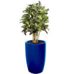 Lisbon Round Tapered Planters