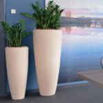 Light Stone Seaside Bisque