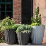Large Plastic planters in a group