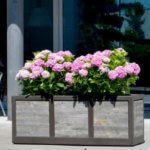 Barnwood Rectangular