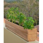 Herb Boxes Teak