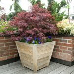 Marot Teak Planter