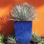 Square Taper Planters