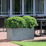 Strong Clay Rectangles