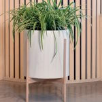 Sustainable Beech Planter Stands
