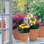 Festive Resin Planters