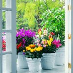 Plastic planters concrete color