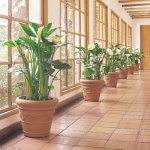 Clay like Resin Planters