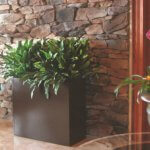 Tall Narrow divider planter