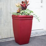 Tall Red Plantr