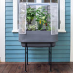 Raised Planter with greenhouse cover