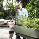 Outdoor raised Garden